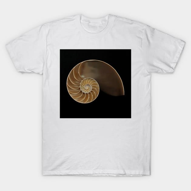 Chambered nautilus shell T-Shirt by joesaladino